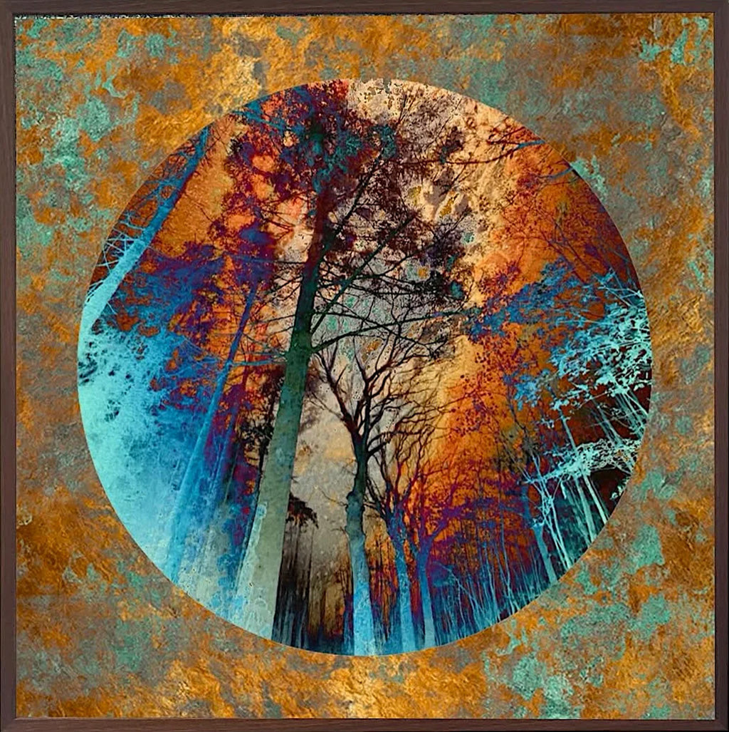 Under The Orange Sky