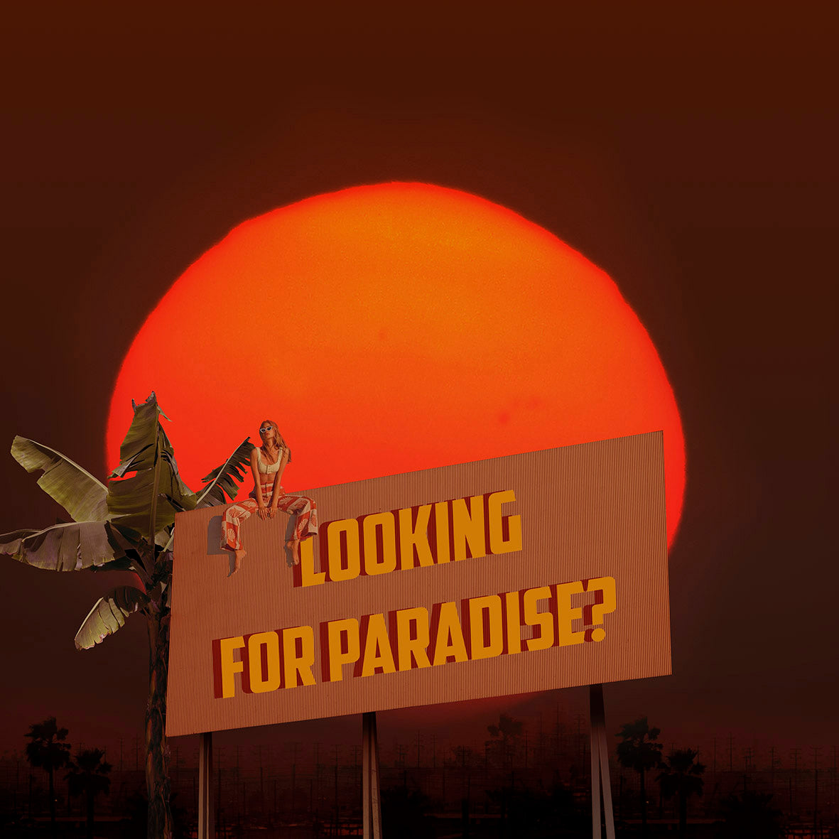 Looking For Paradise