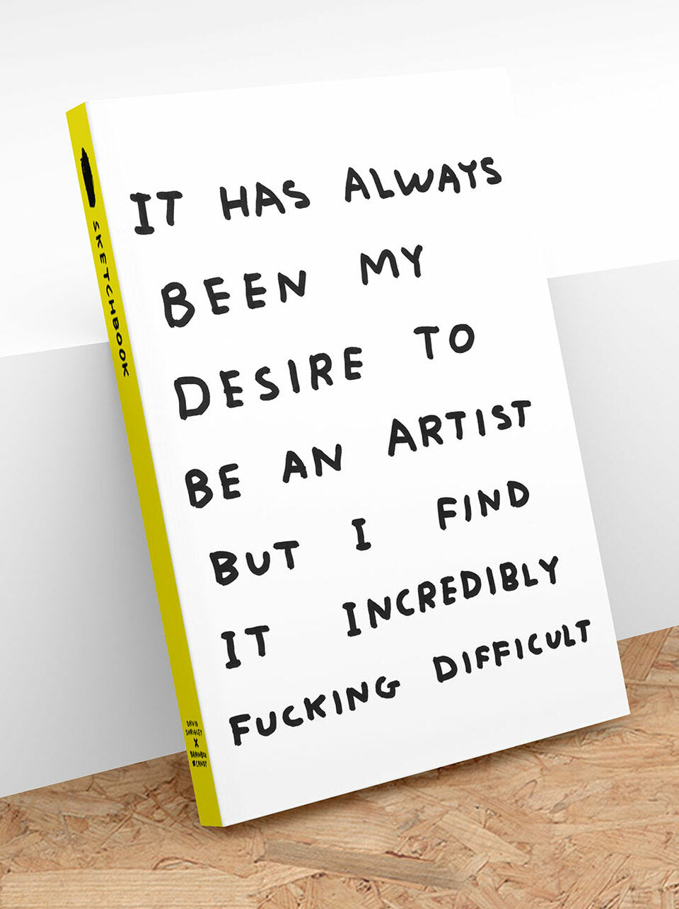 David Shrigley Sketchbook - Be an Artist