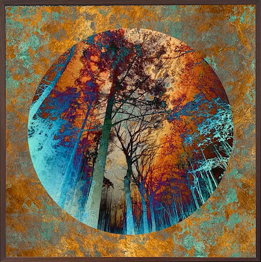 Under The Orange Sky