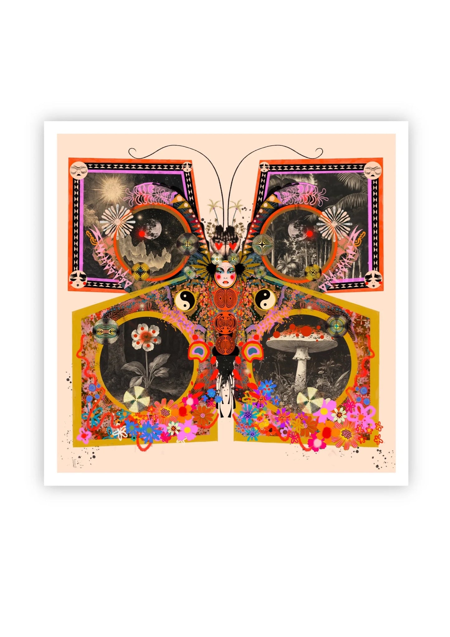 PAPILIONACEUS ESOTERICA