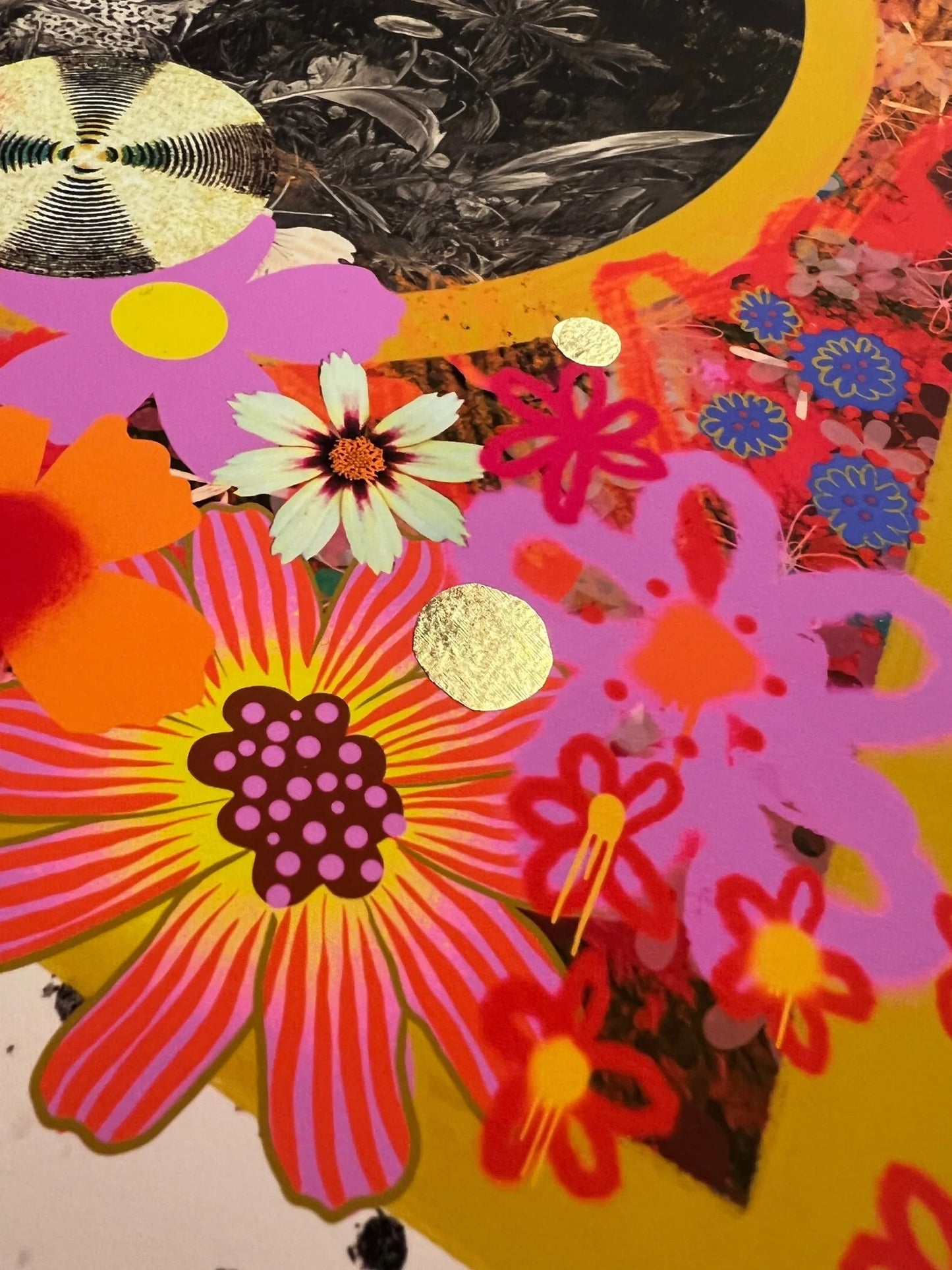 PAPILIONACEUS ESOTERICA