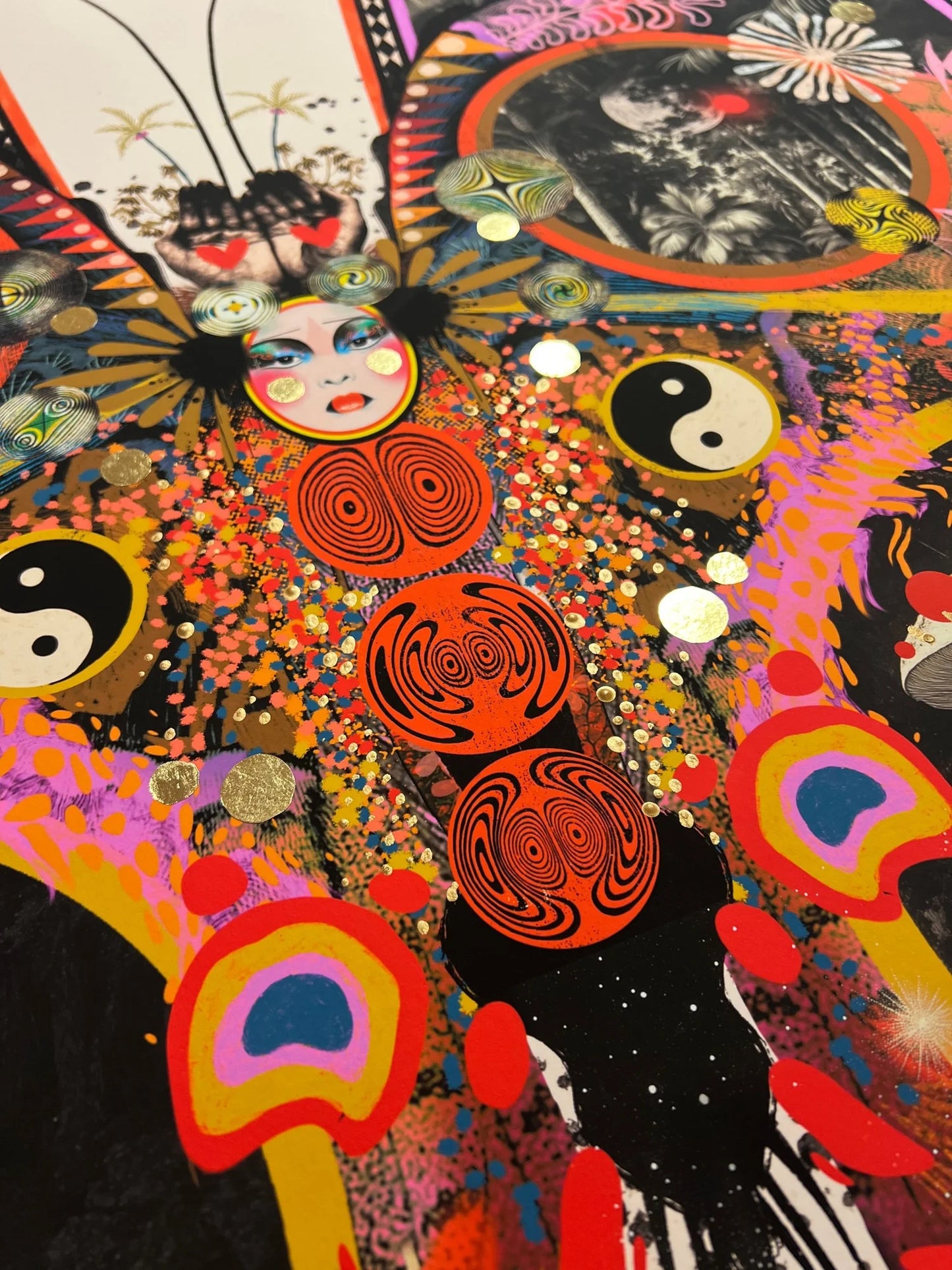 PAPILIONACEUS ESOTERICA