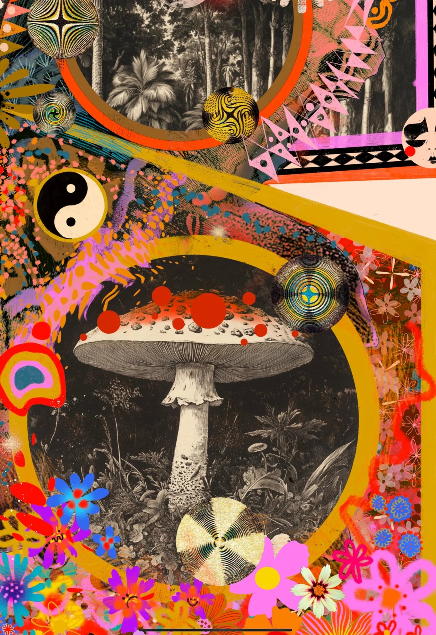 PAPILIONACEUS ESOTERICA