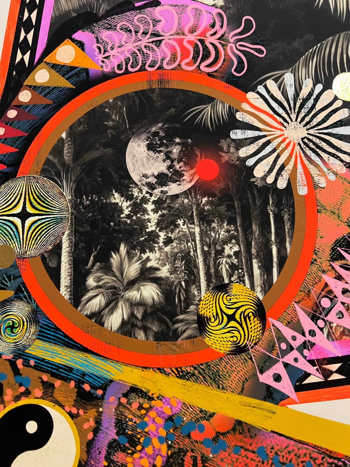 PAPILIONACEUS ESOTERICA