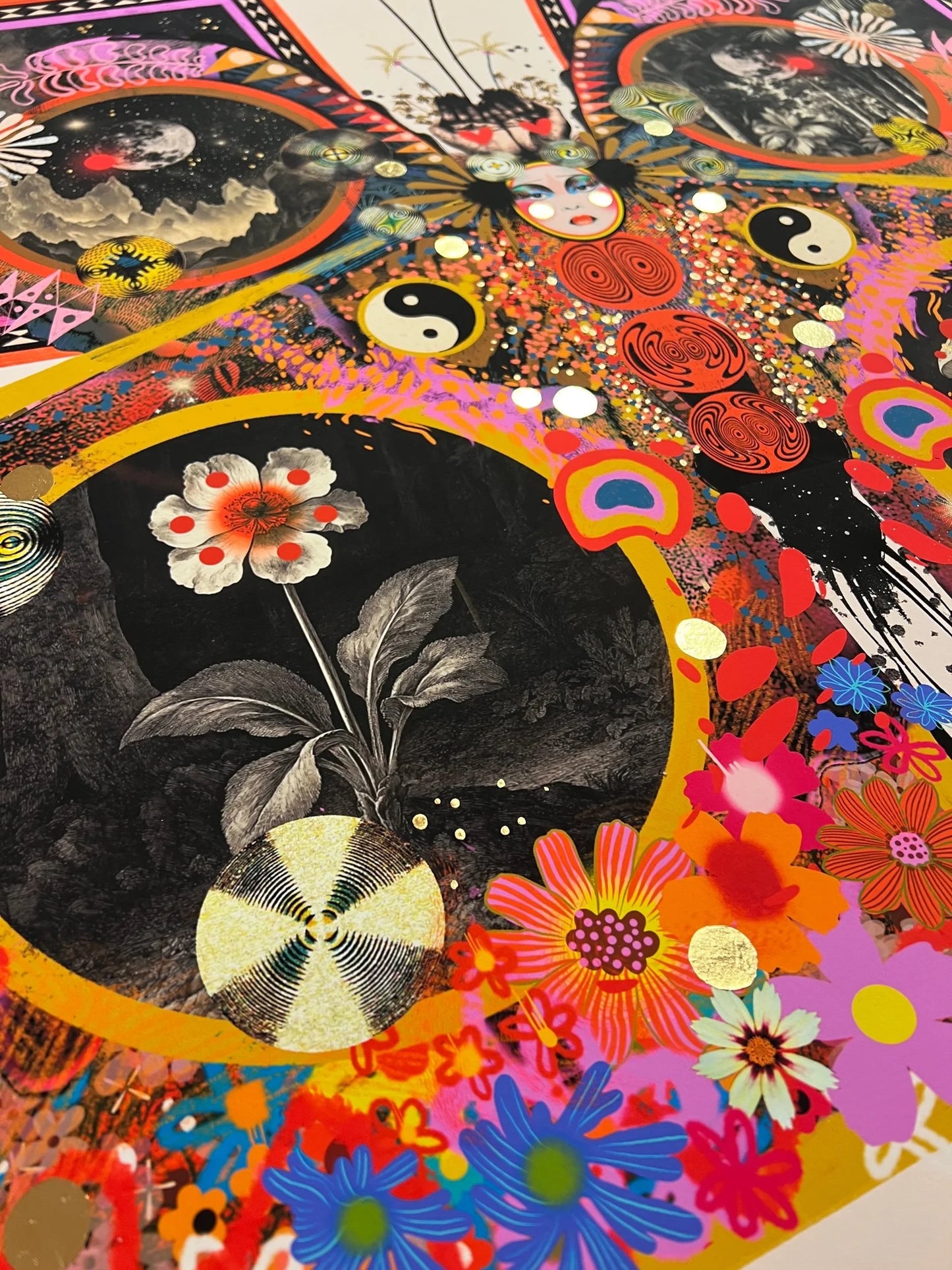 PAPILIONACEUS ESOTERICA